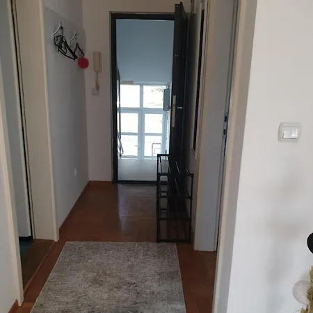 Nikola 公寓 Zarkovo